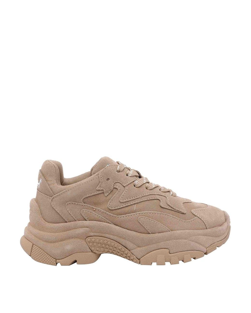 Ash Brown Addictbis Sneakers