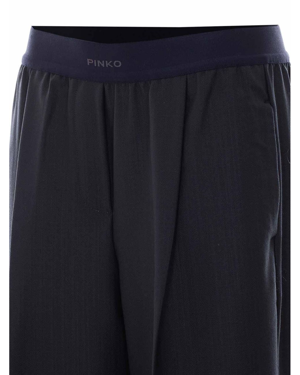 Pinko Blue Phaius Striped Pants