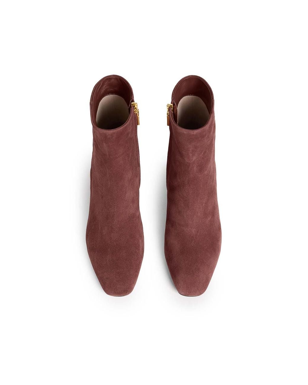 Coccinelle Purple C-Everyday Suede Ankle Boots