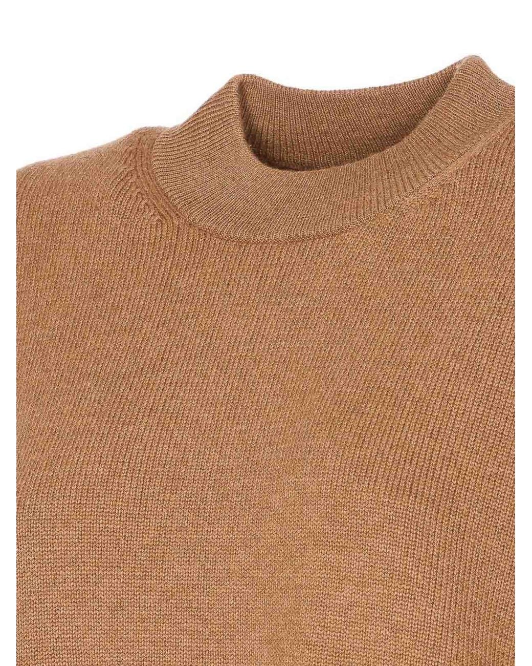 Max Mara Brown Pisan