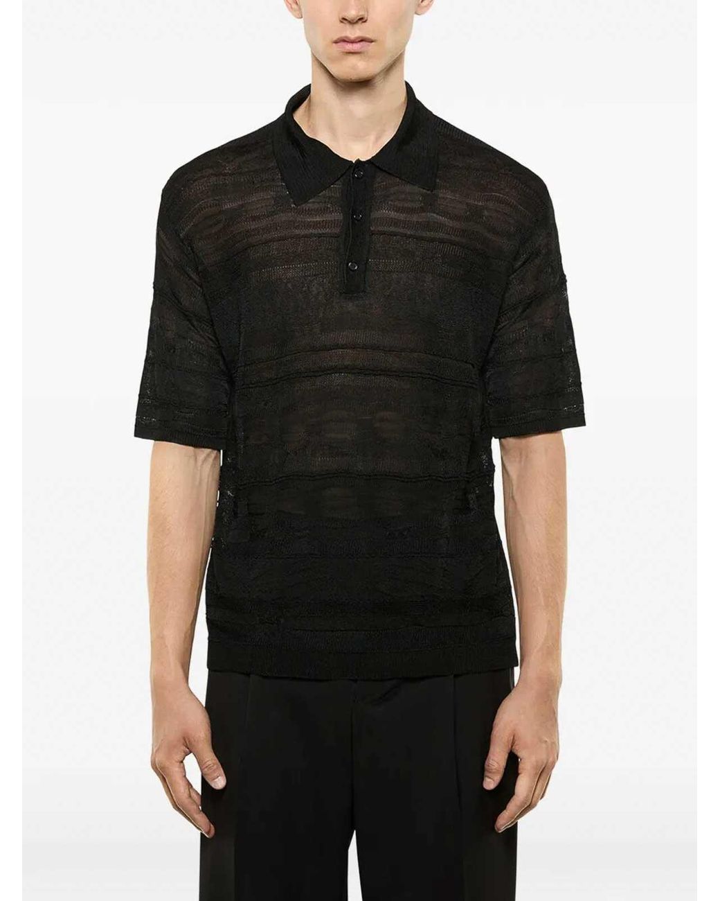 Laneus Black Knitted Polo for men