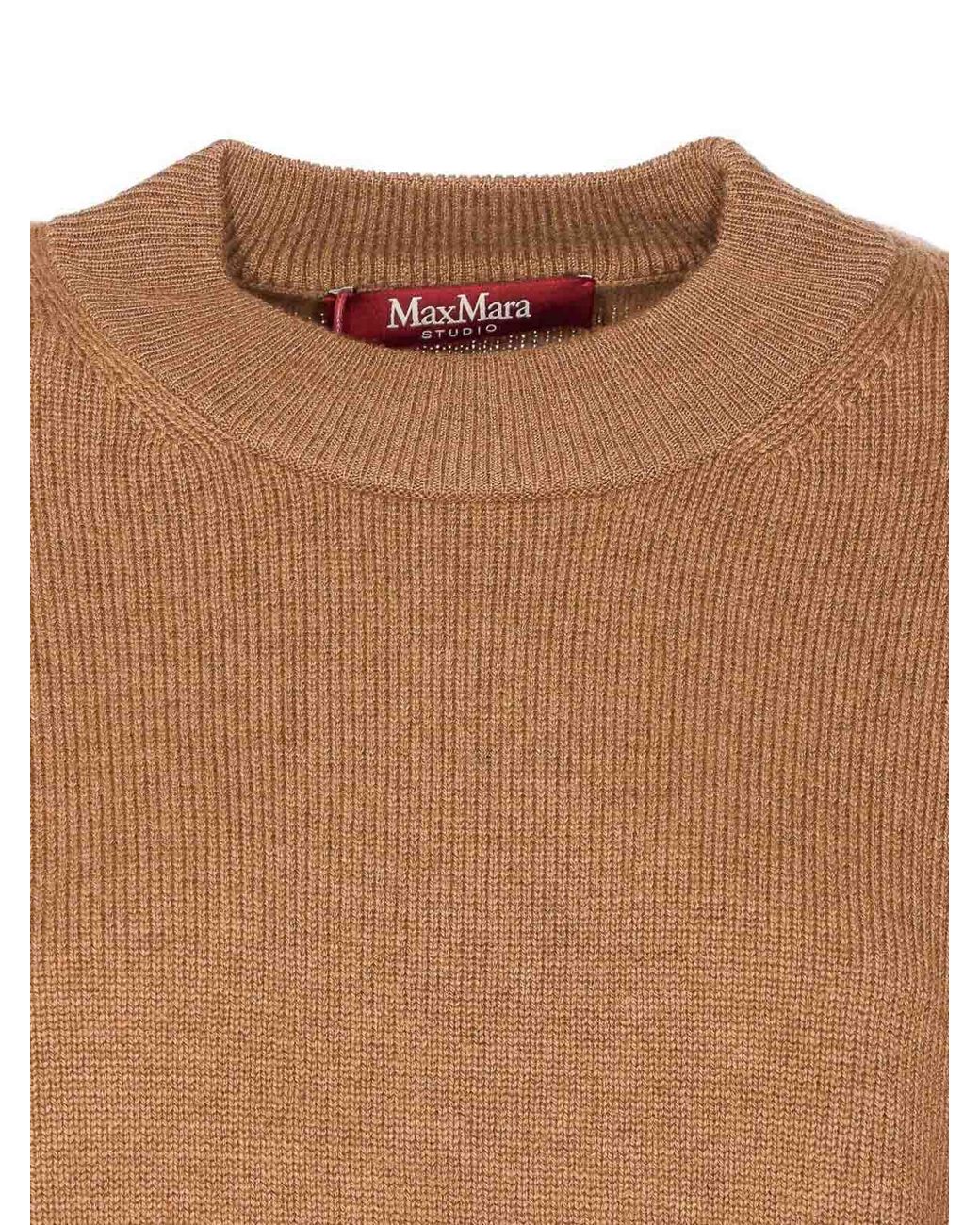 Max Mara Brown Pisan