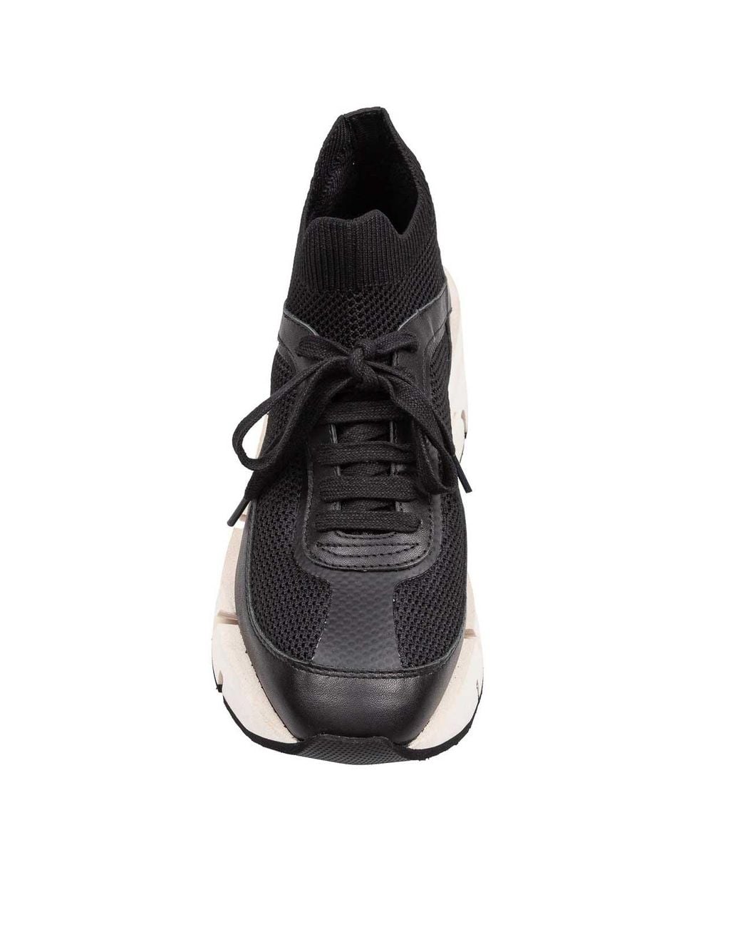 Paloma Barceló Black Sneaker