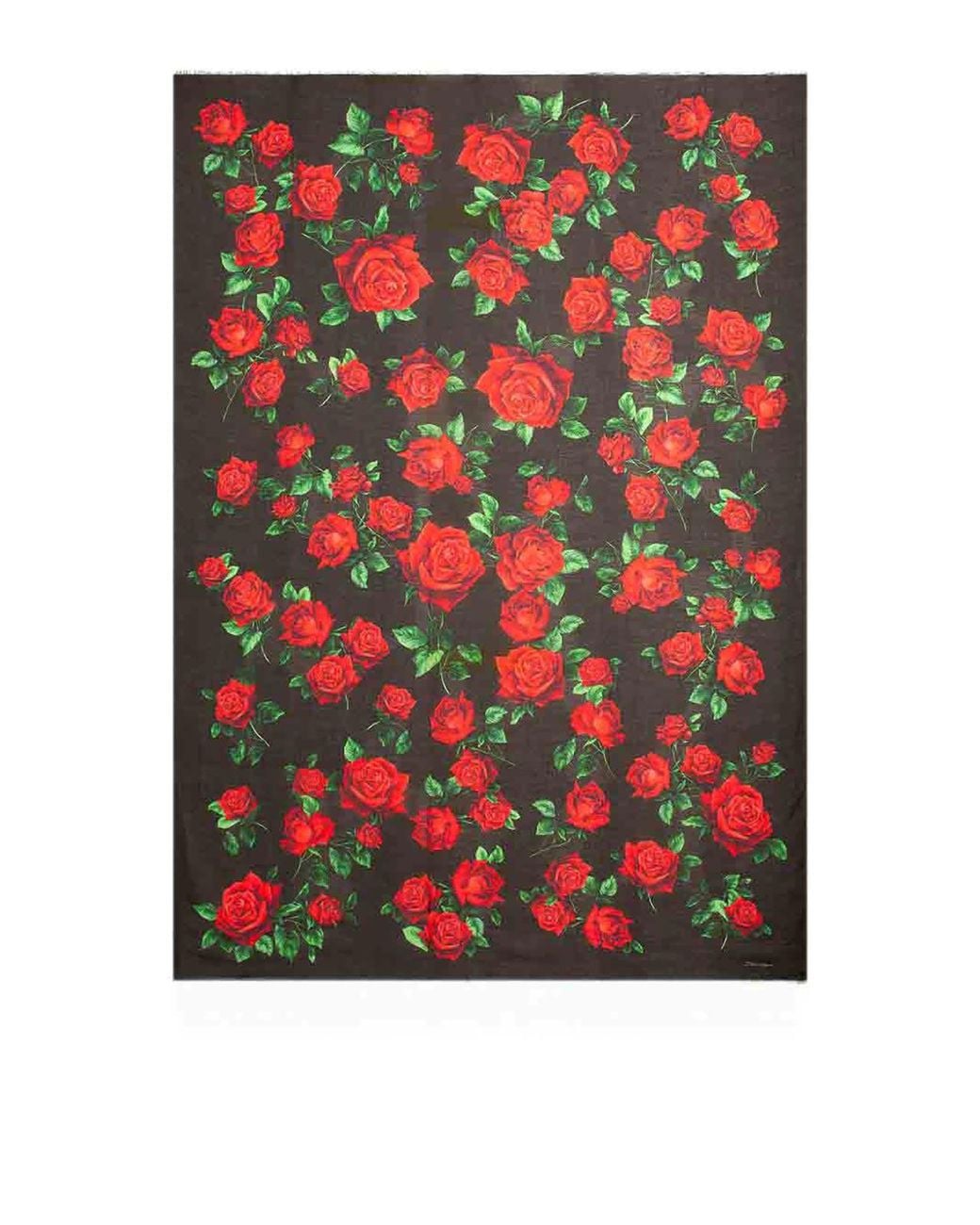 Sciarpa di Dolce & Gabbana in Black