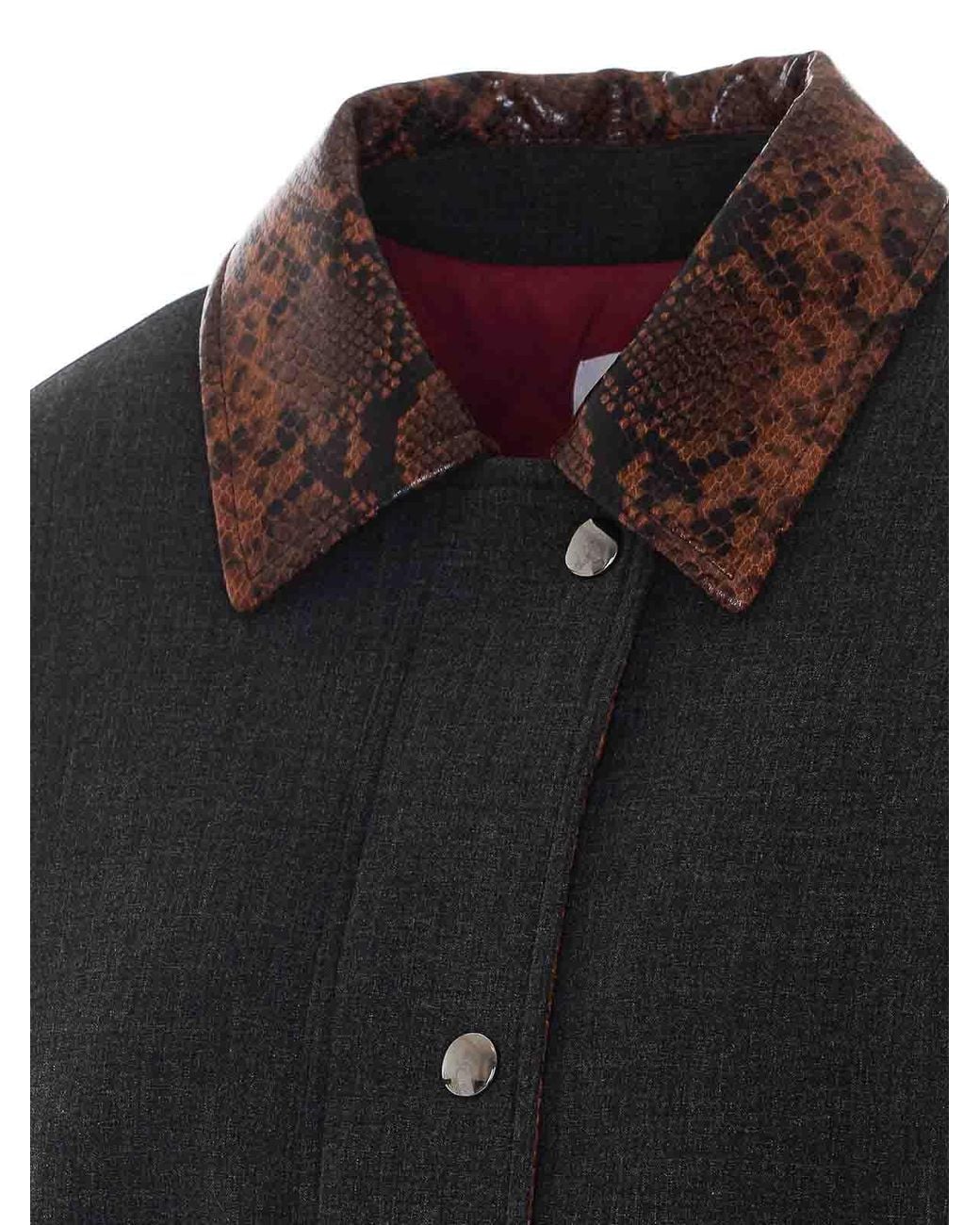 Des Phemmes Black Bomber