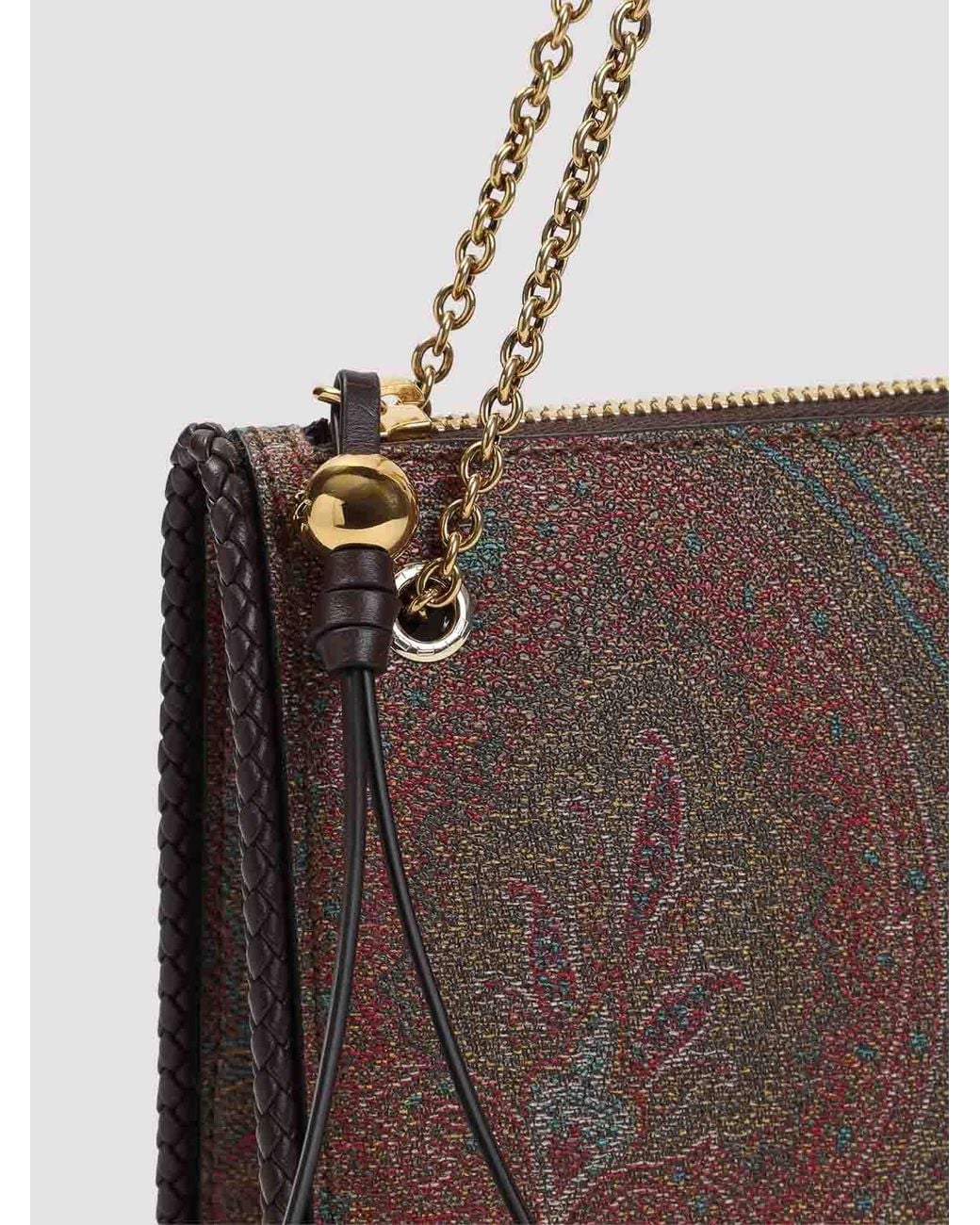 Etro Brown Crossbody Clutch Arnica Bag