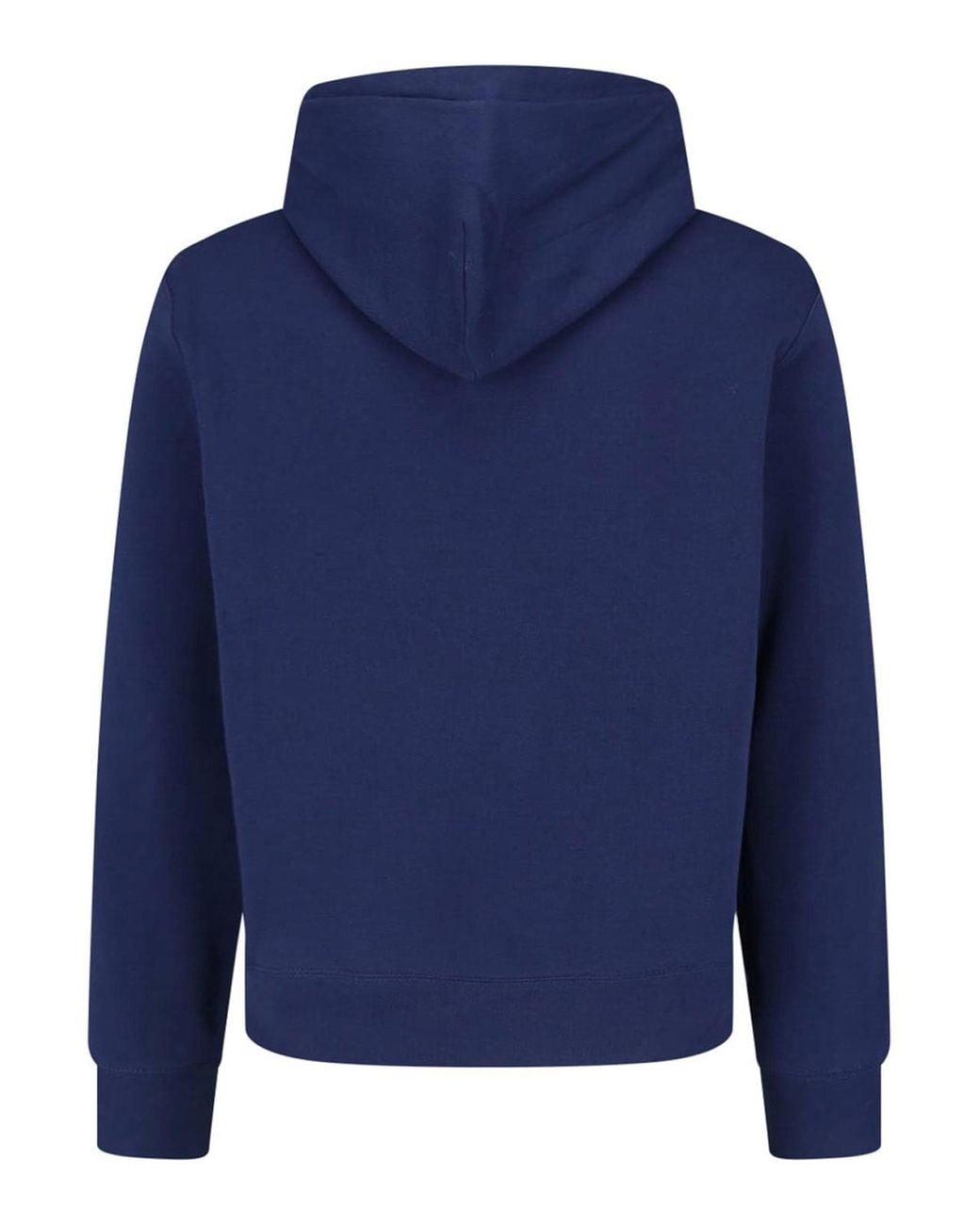 Polo Ralph Lauren Blue Printed Sweatshirt for men