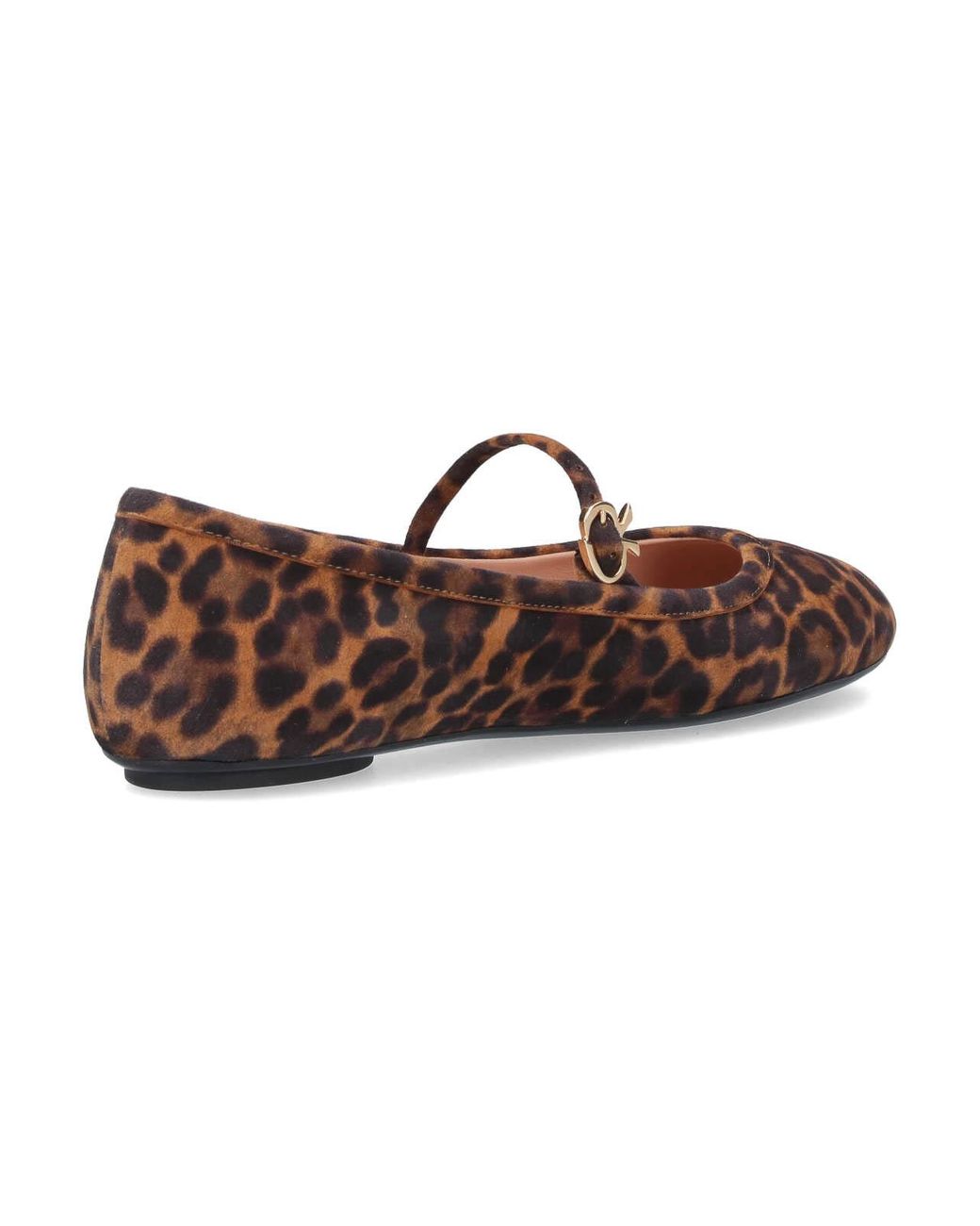 Gianvito Rossi Brown Flats