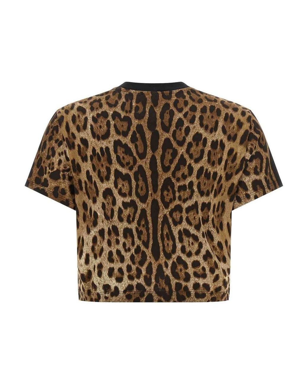 Dolce & Gabbana Brown Leo Cropped T-Shirt
