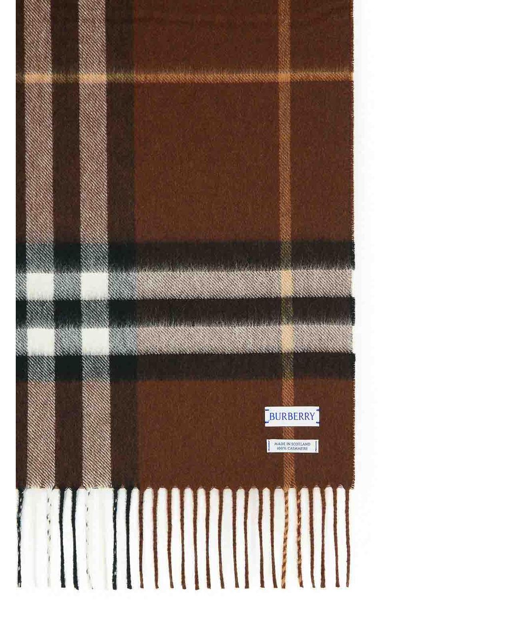 Burberry Brown Mu Giant Cashmere Scarf for men