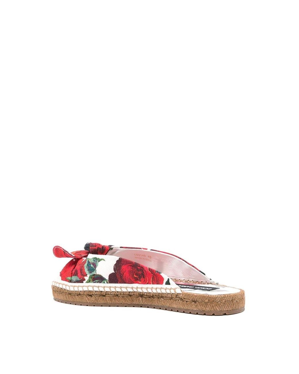 Dolce & Gabbana Pink Sandals