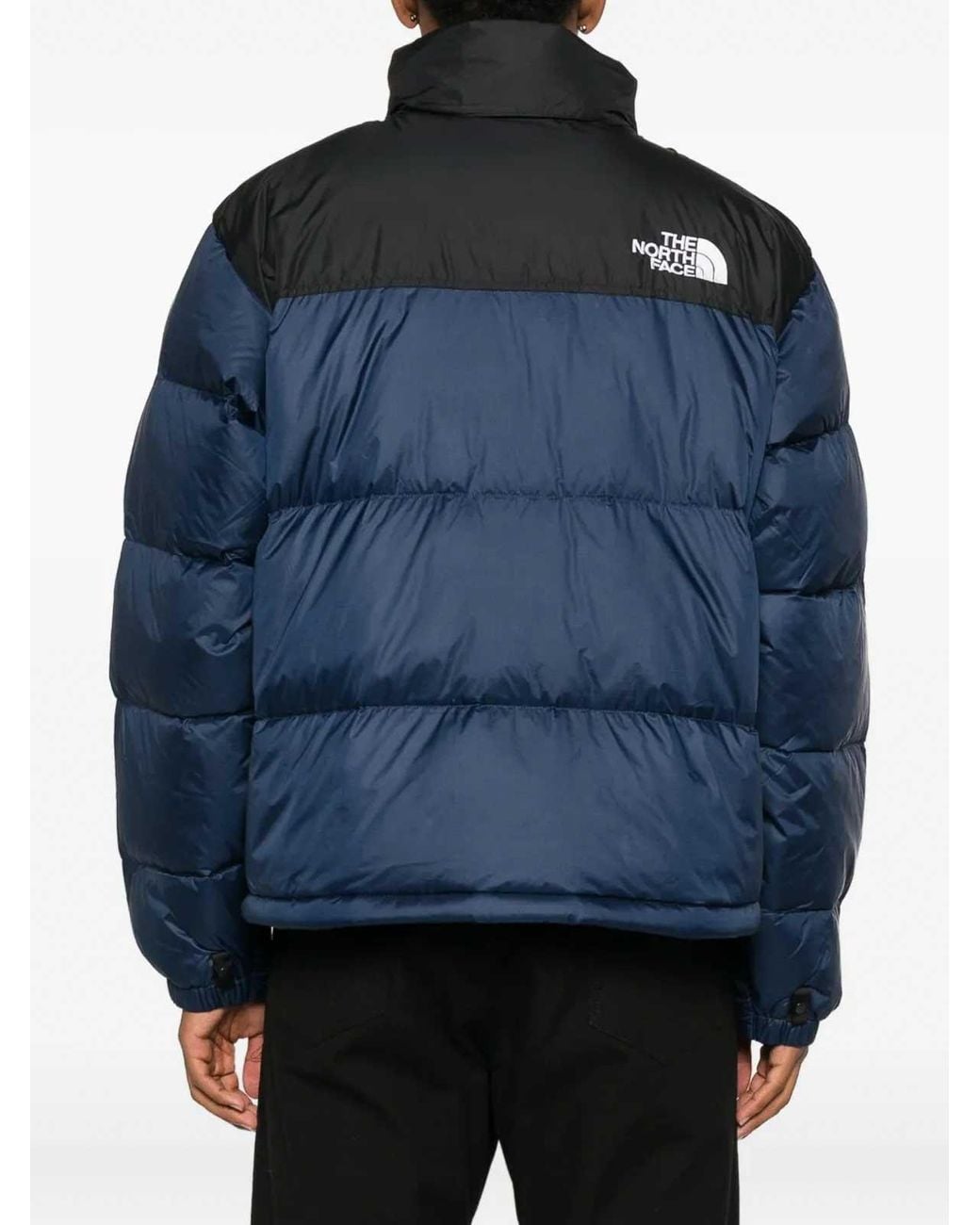 The North Face Blue Winter Jackets