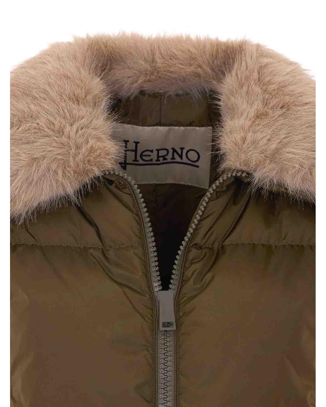 Bomber Herno en coloris Green