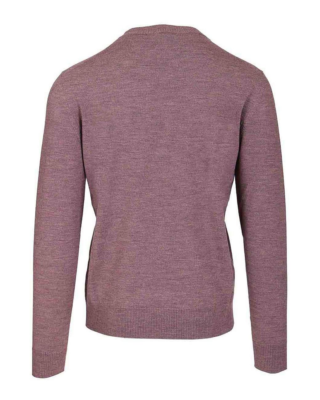 Ballantyne Purple Crew Neck Sweater for men