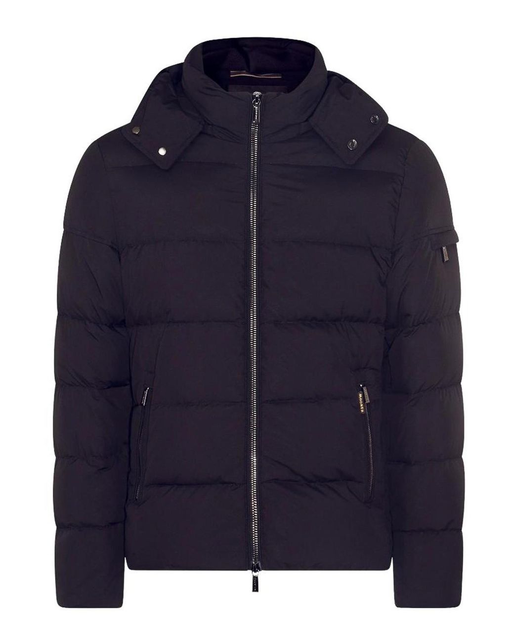 Moorer Blue Short Padded Jacket for men