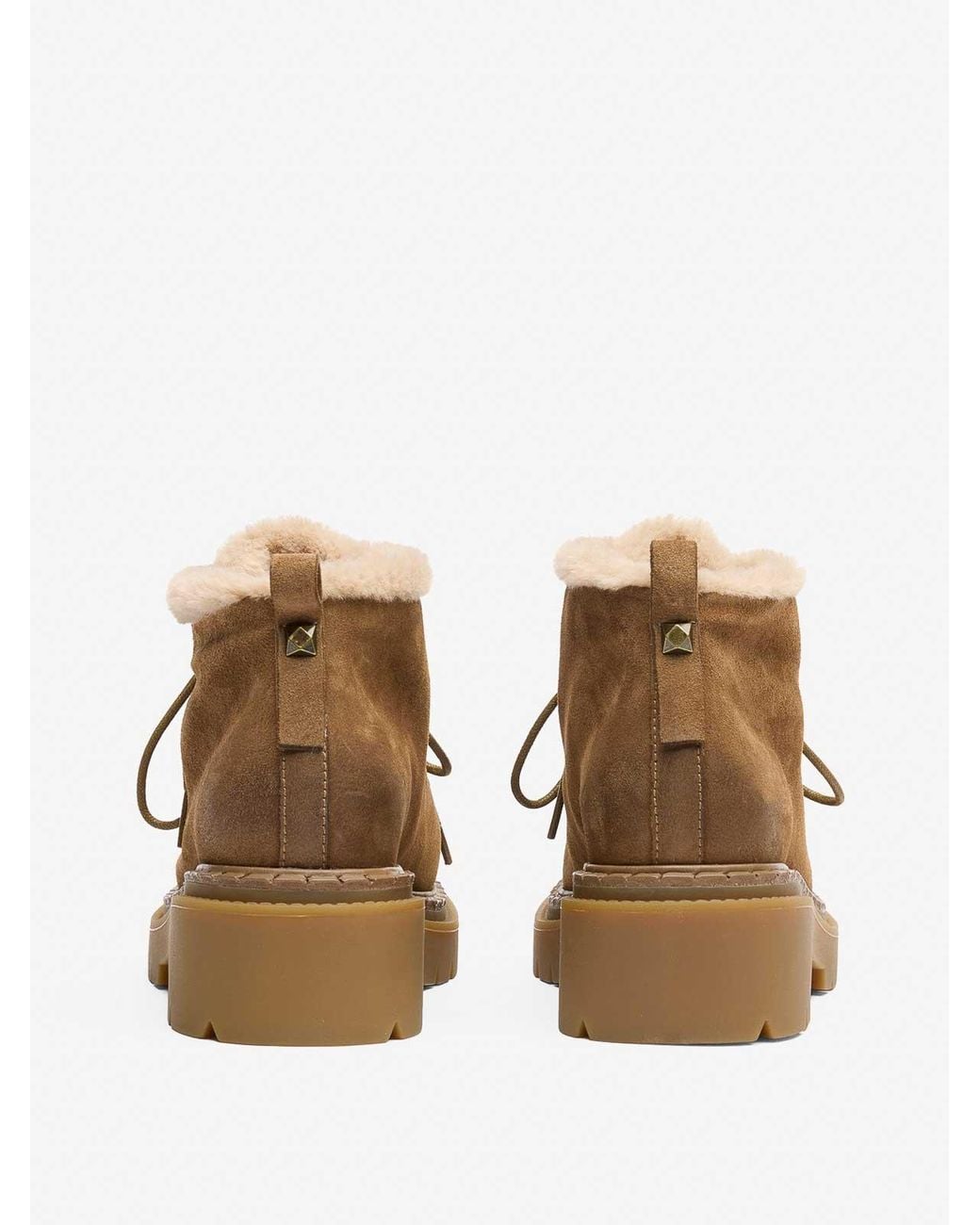 Bottines Ash en coloris Brown