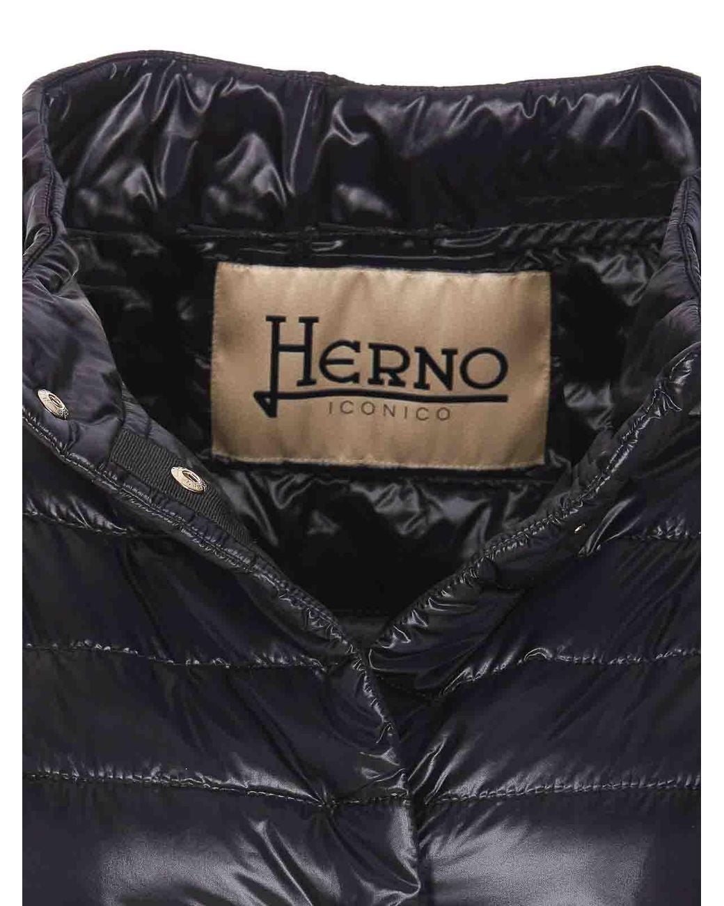 Herno Black Jacket