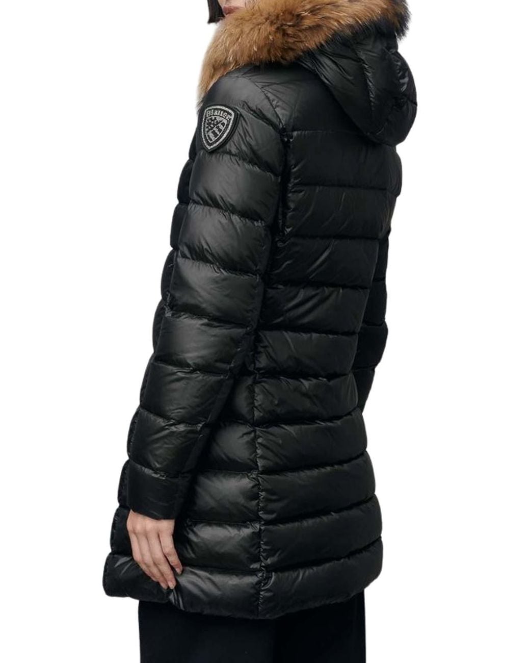 Blauer Black Jackets