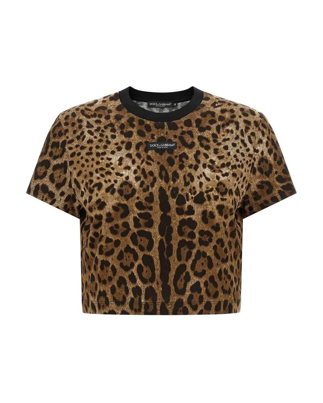 Dolce & Gabbana Brown Leo Cropped T-Shirt