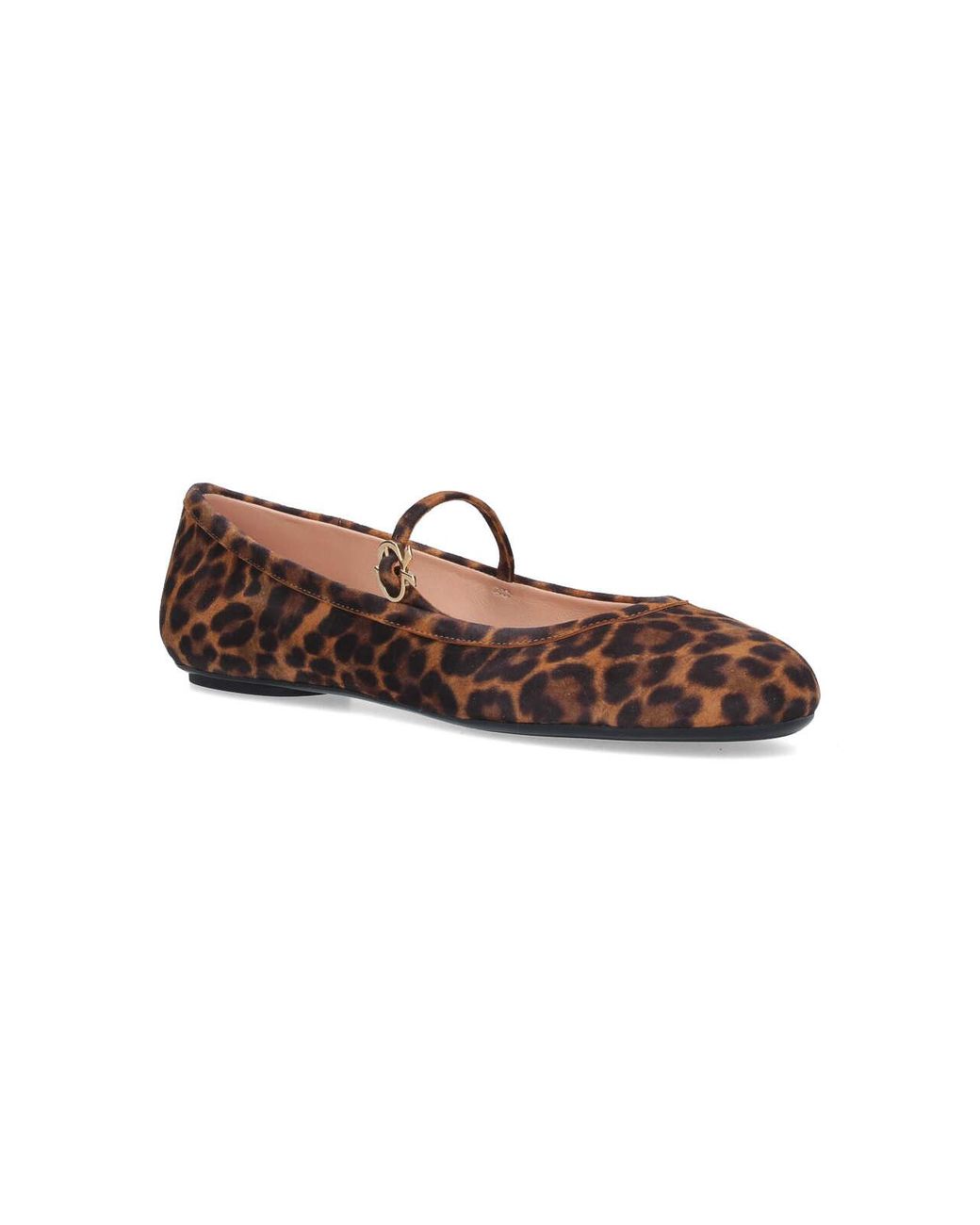 Gianvito Rossi Brown Flats
