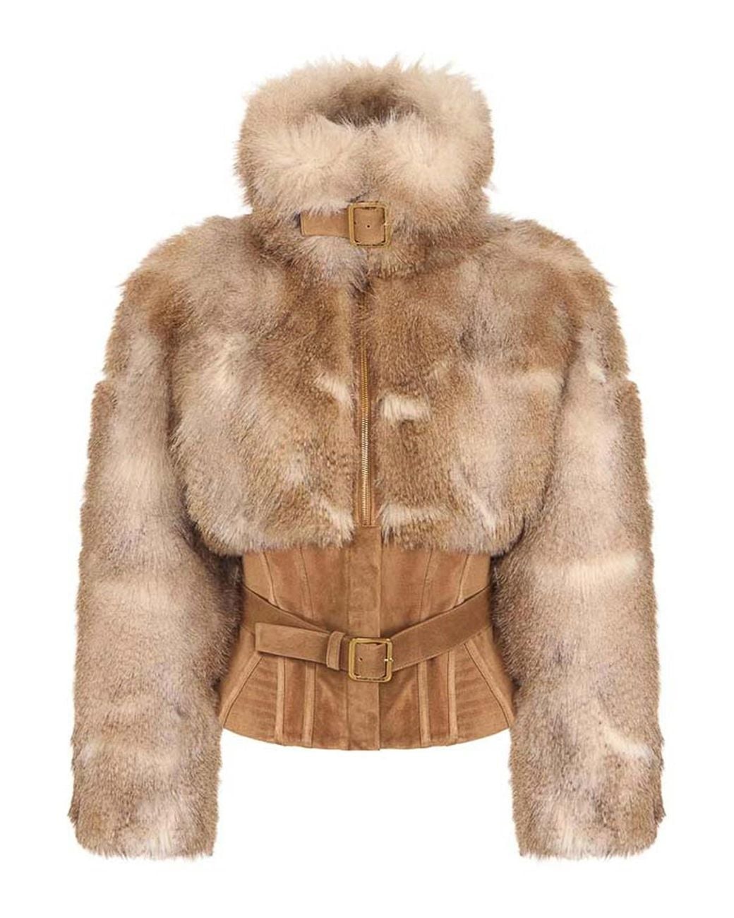 Elisabetta Franchi Brown Outerwear