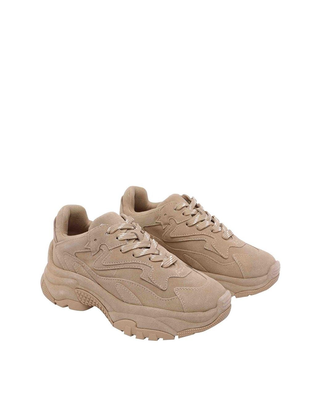 Ash Brown Addictbis Sneakers