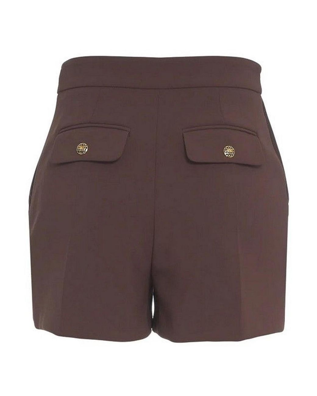 Elisabetta Franchi Brown Shorts