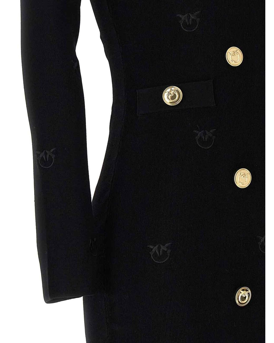 Pinko Black Drago Dress