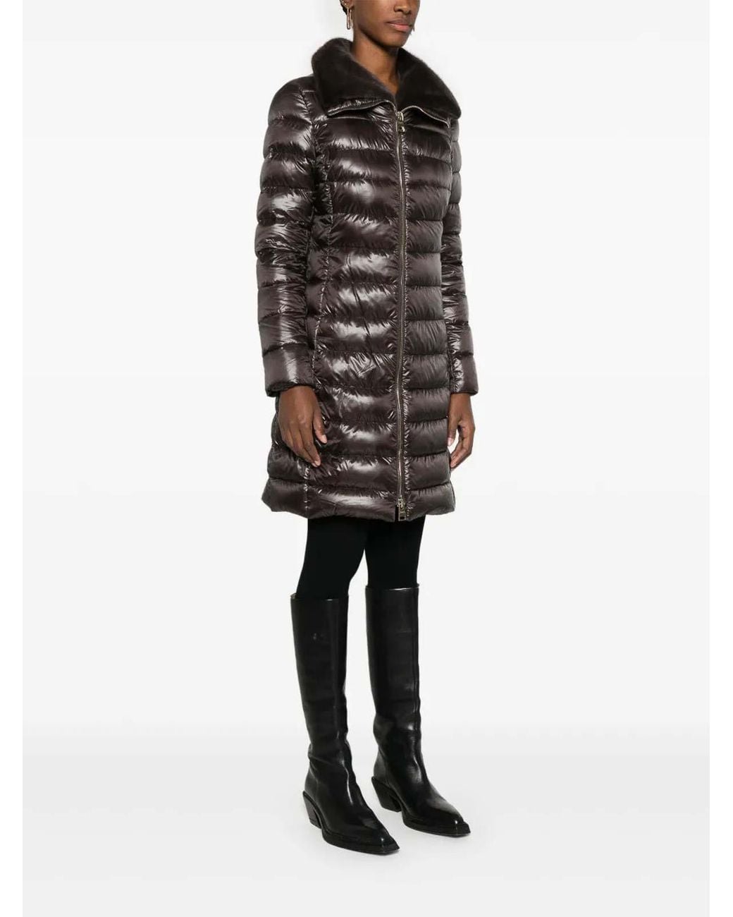 Blouson Rembourré Herno en coloris Black