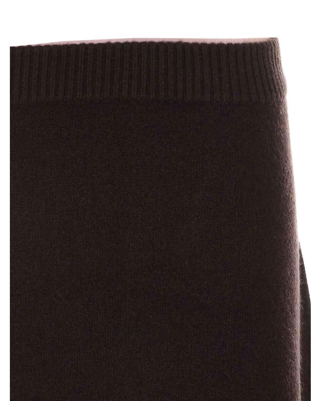 Pinko Brown And Tolosa Skirt