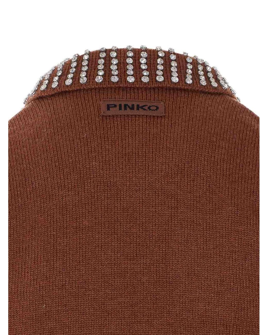 Pinko Brown Ventotene Sweater