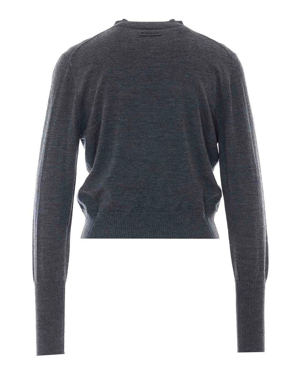 Pinko Blue Tallin Cardigan