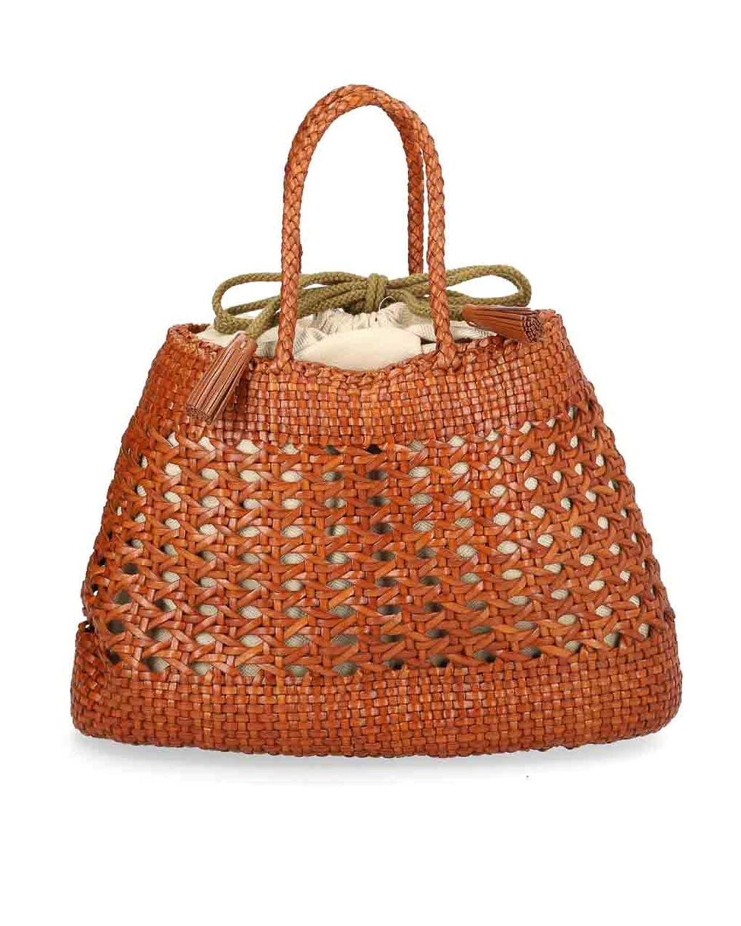 Dragon Diffusion Brown Santa Cano Bag