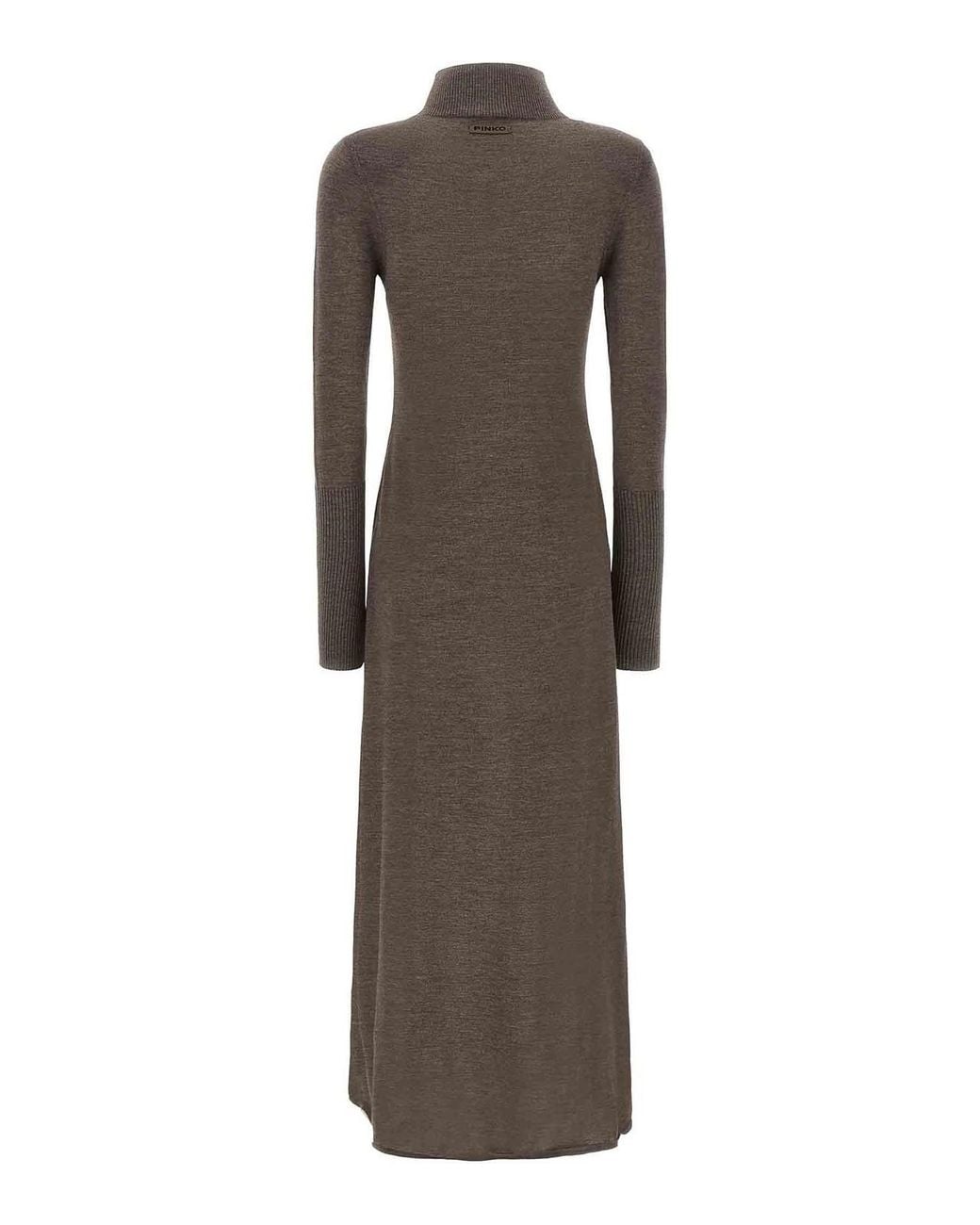 Pinko Brown Turtleneck Dress