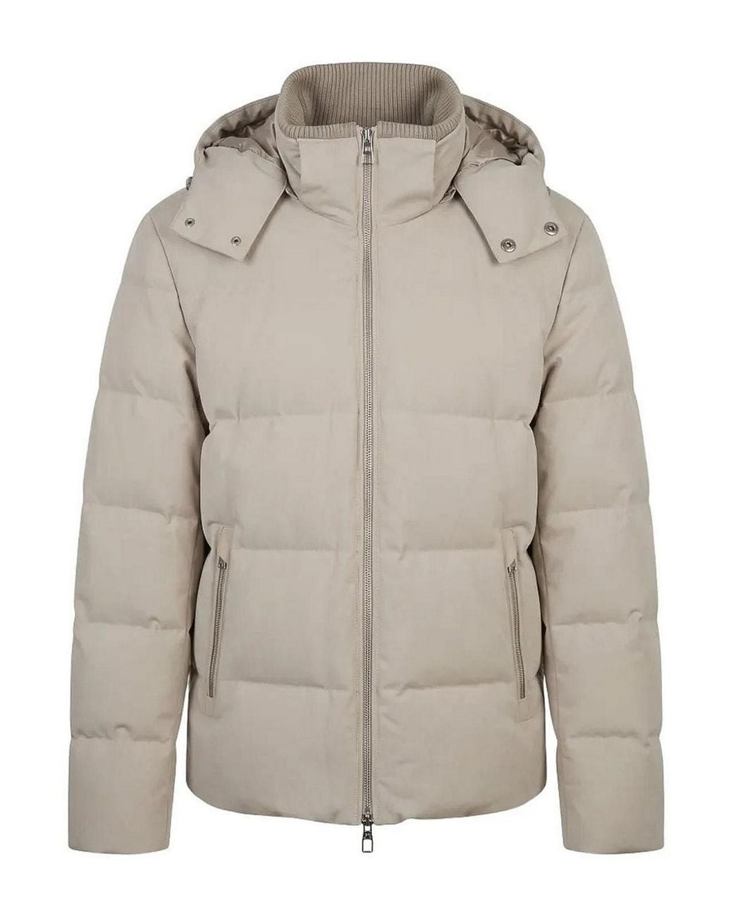 Montecore Gray Piumino for men
