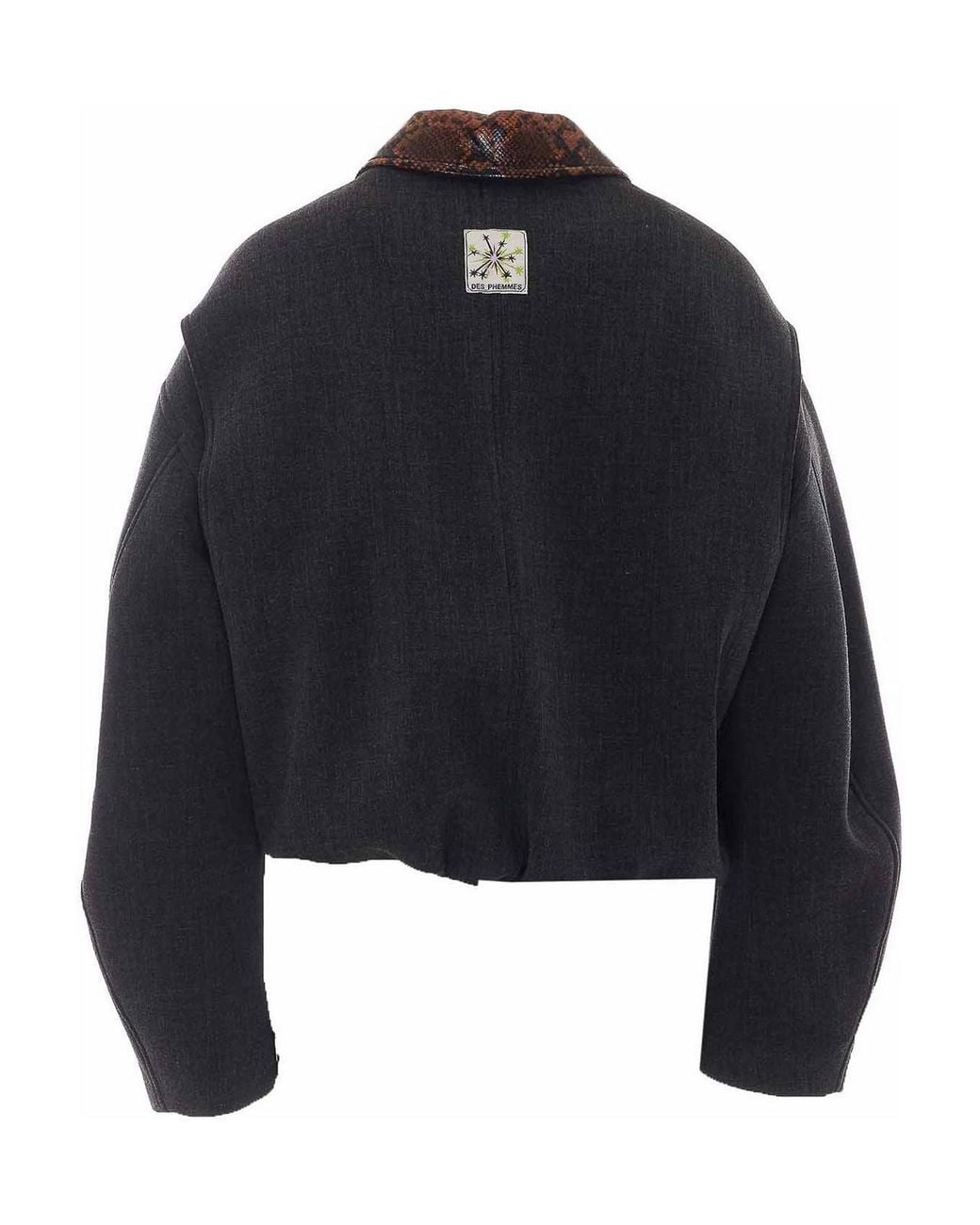 Des Phemmes Black Bomber