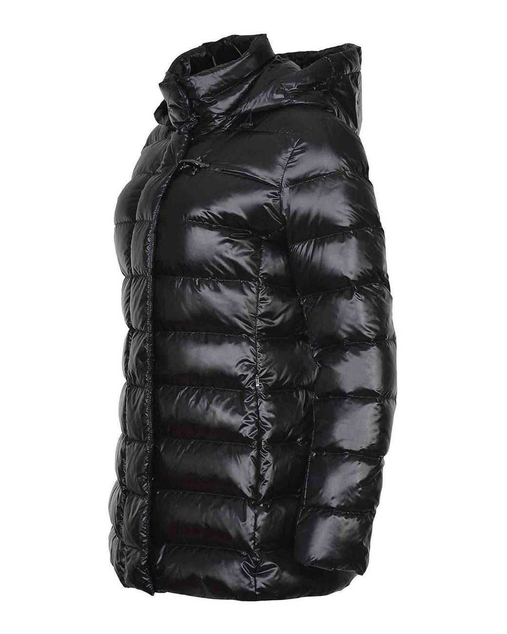 Chaqueta Alcochada Fay de color Black