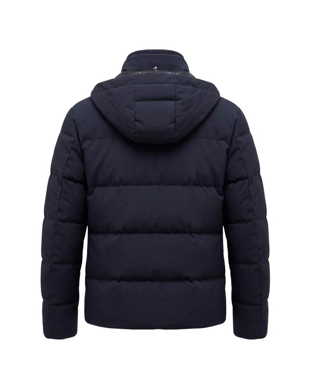 Montecore Blue Padded Down Jacket for men