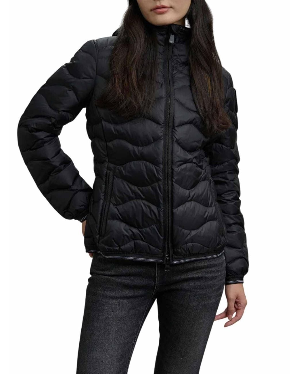 Blauer Black Jackets