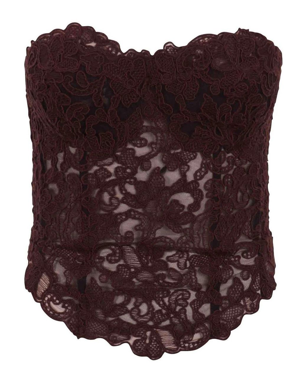 Ermanno Scervino Purple Floral Lace Bustier