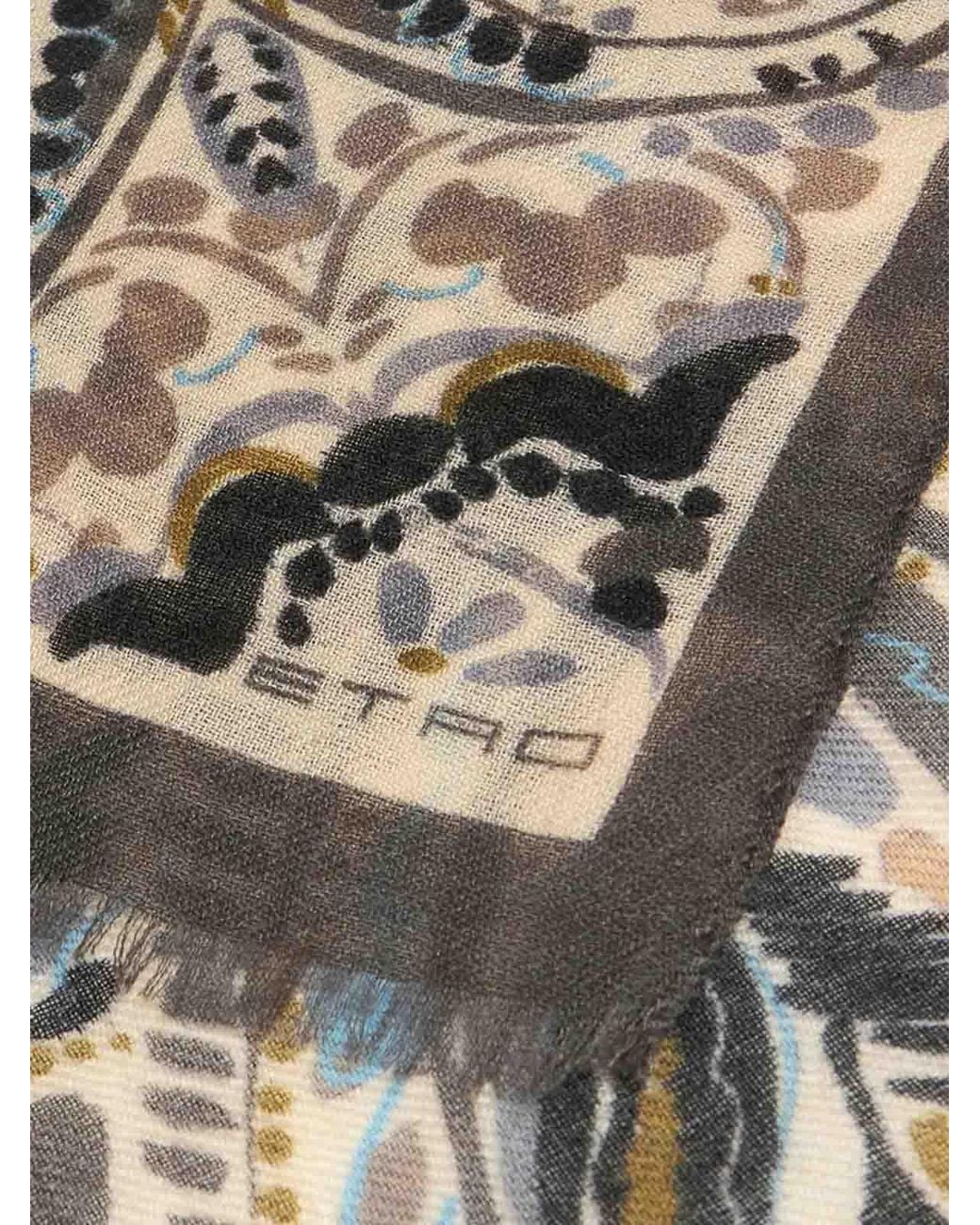 Sciarpa Stampata di Etro in Natural
