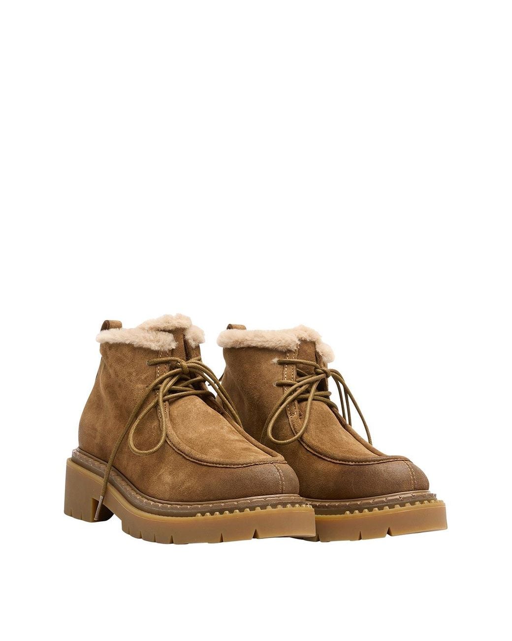 Bottines Ash en coloris Brown