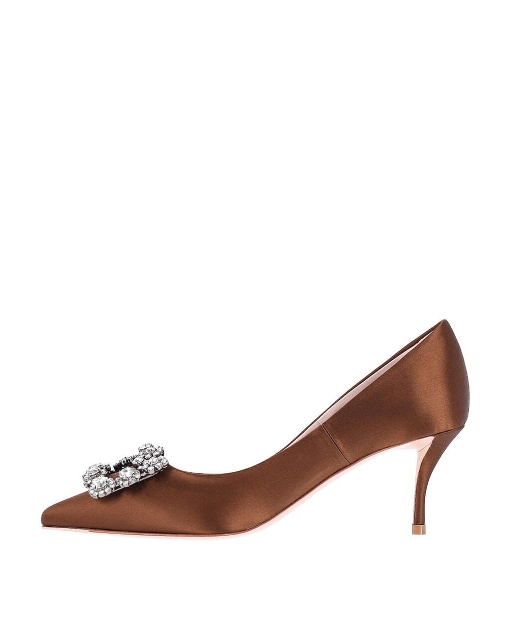 Roger Vivier Brown Dcollets Efflorescence