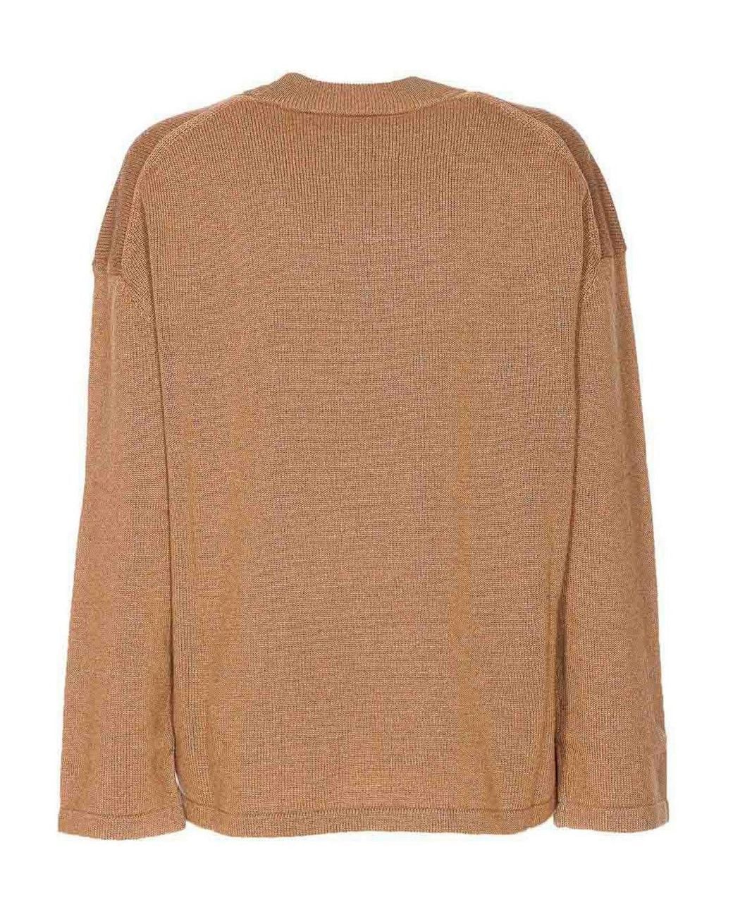 Max Mara Brown Pisan