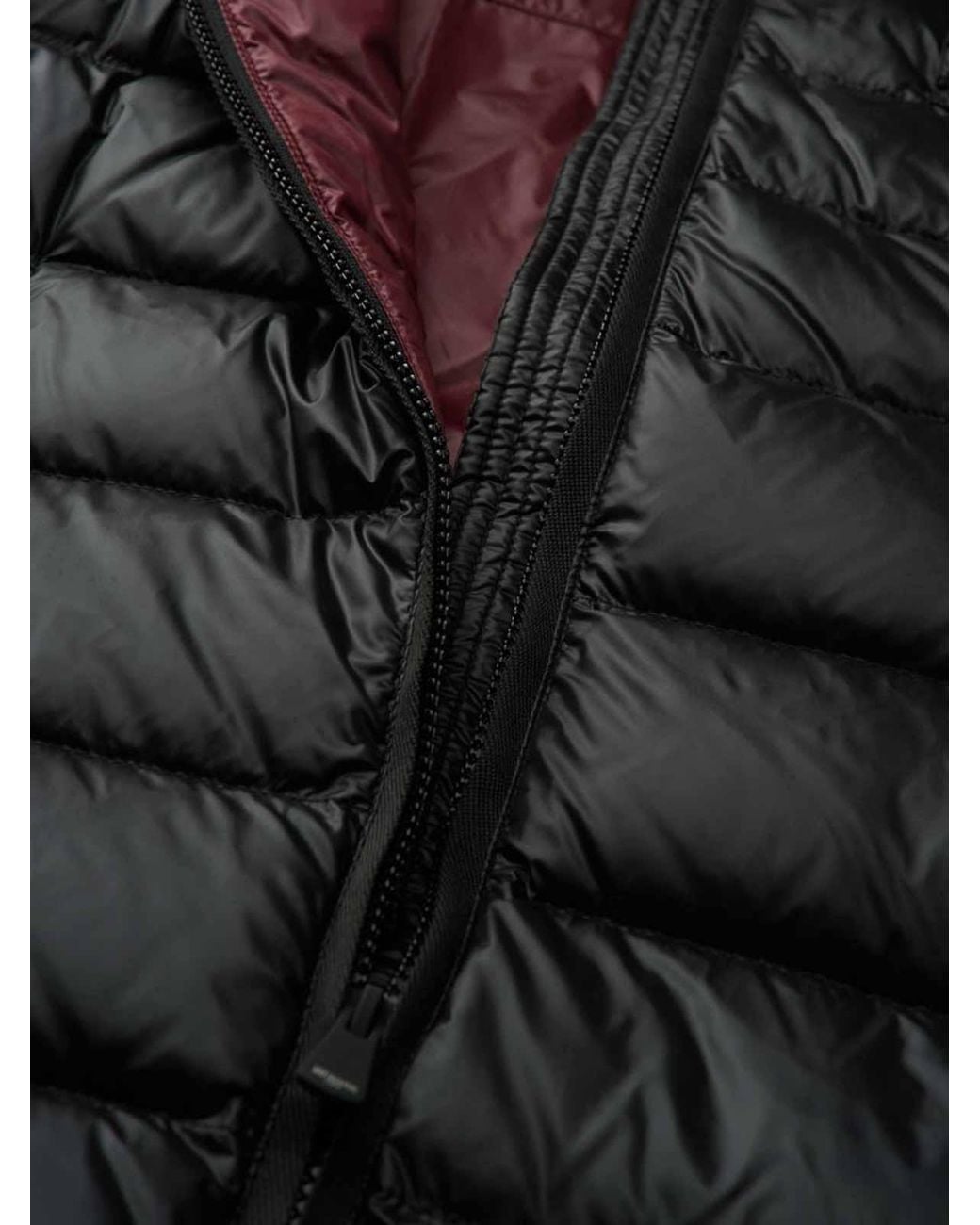 Blauer Black Jackets