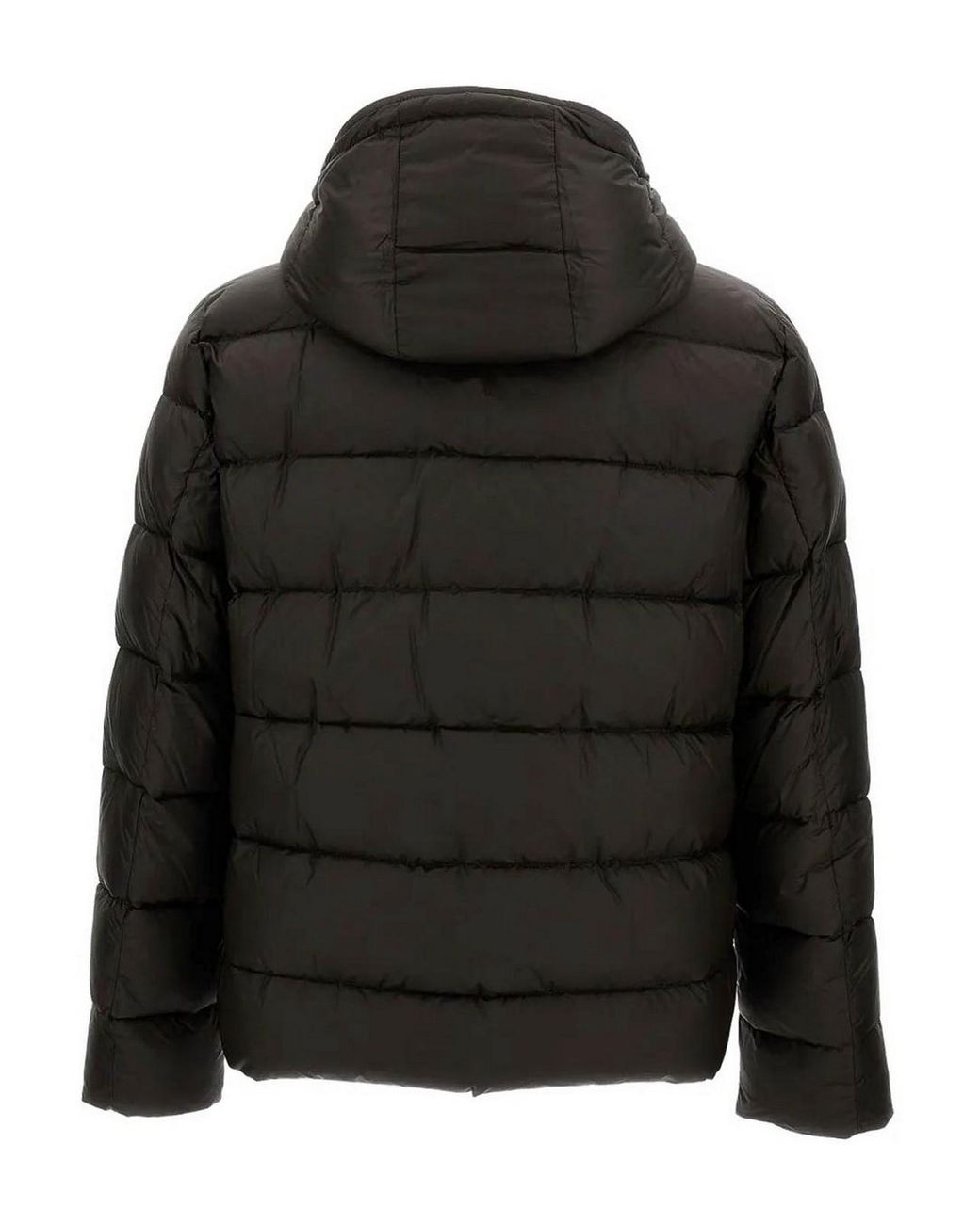 Chaqueta Alcochada Fay de hombre de color Black