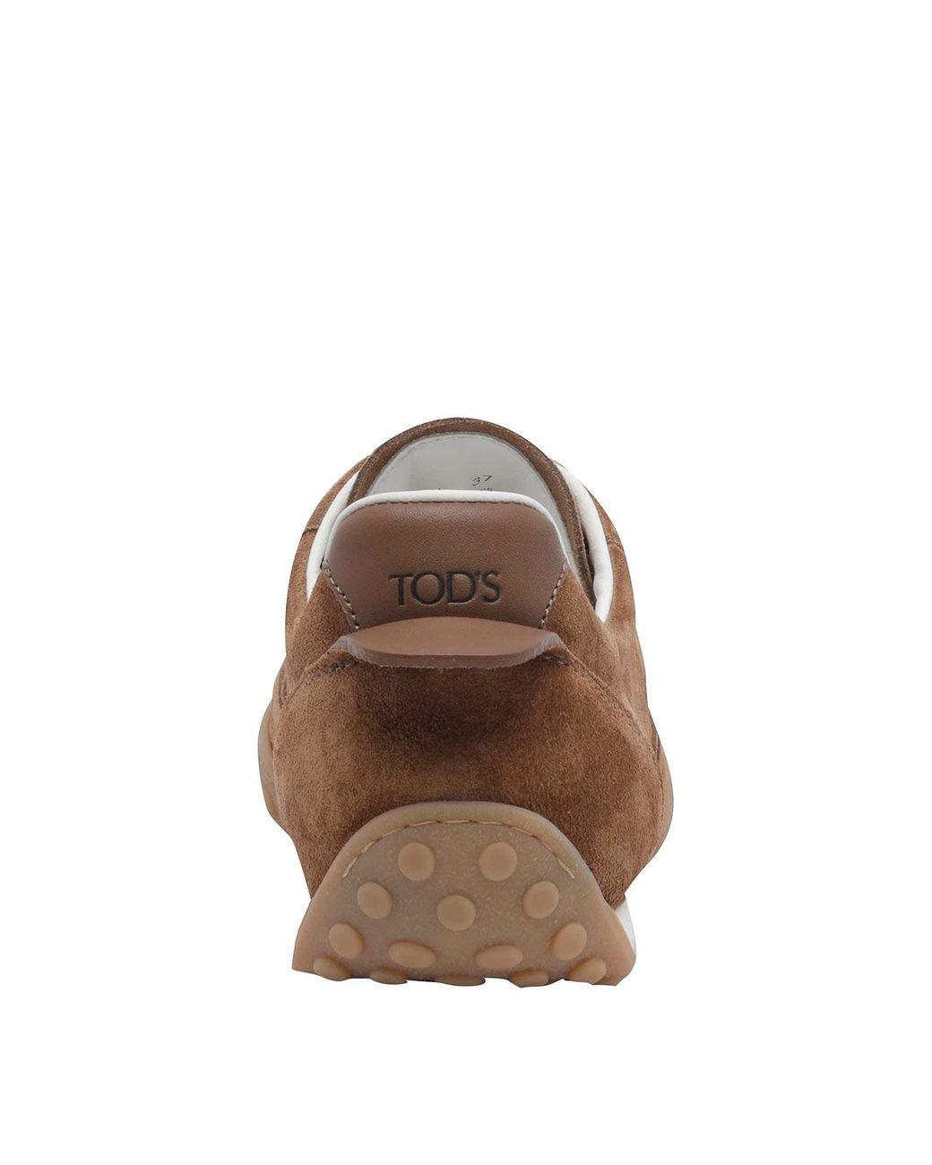 Baskets Tod's en coloris Brown