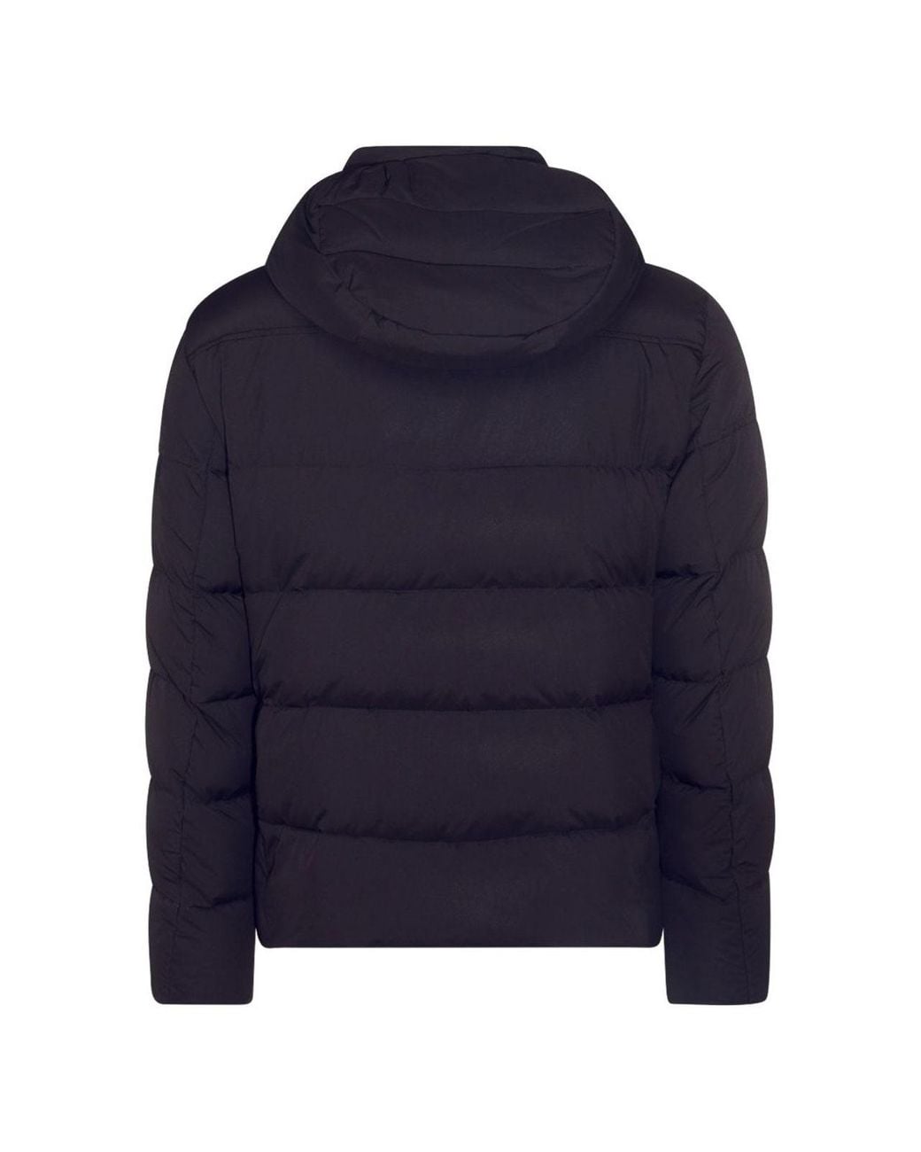 Moorer Blue Short Padded Jacket for men
