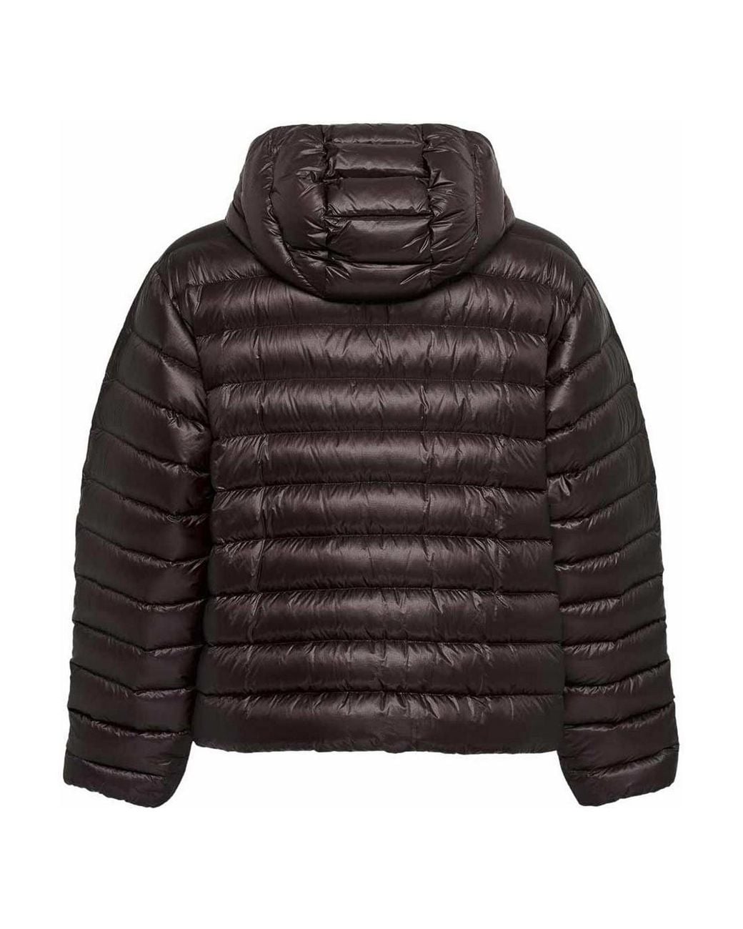 Jil Sander Black Hooded Padded Jacket for men