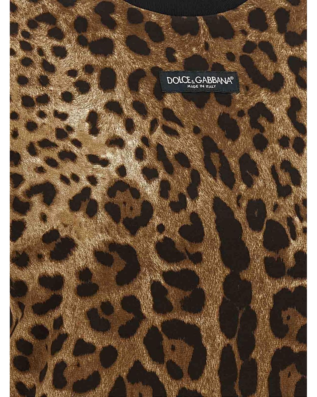 Dolce & Gabbana Brown Leo Cropped T-Shirt